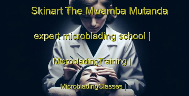 Skinart The Mwamba Mutanda expert microblading school | MicrobladingTraining | MicrobladingClasses | SkinartTraining-the Democratic Republic of the Congo